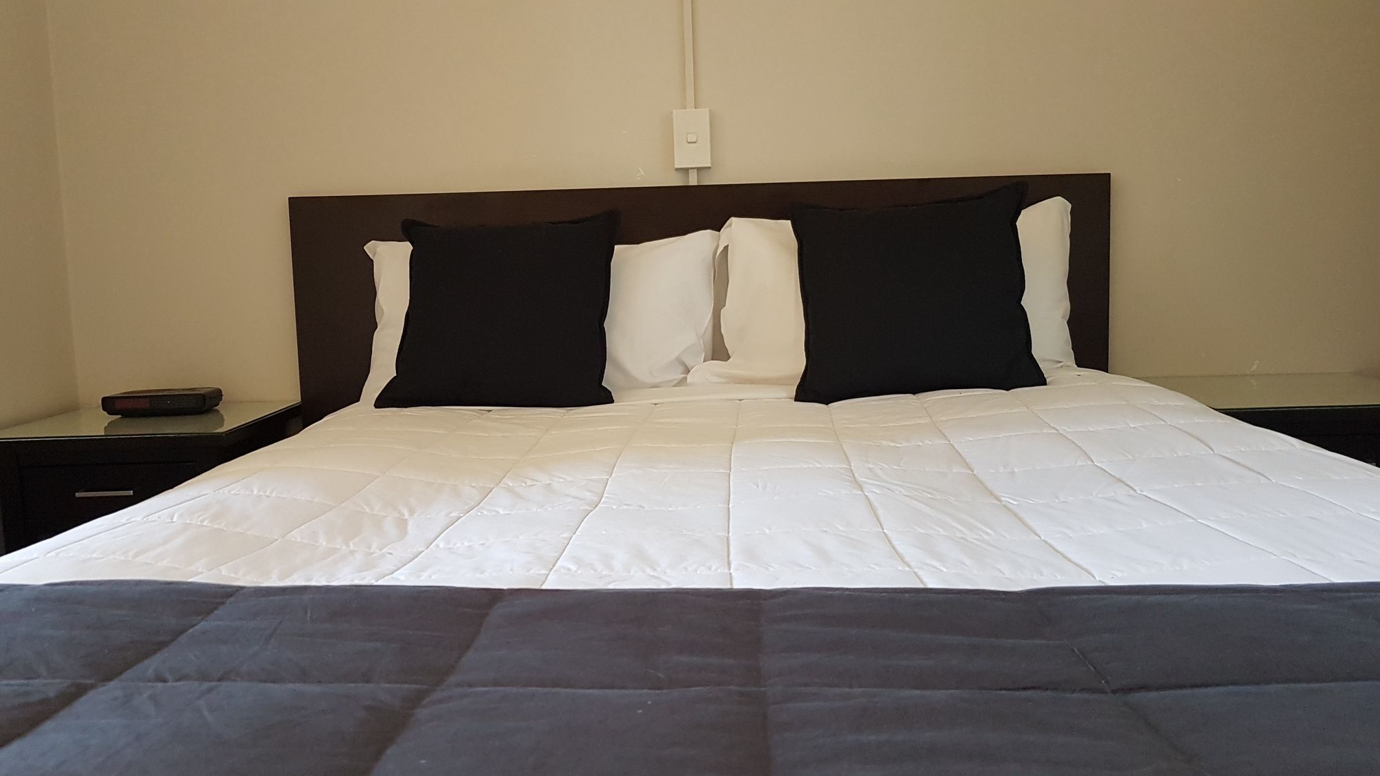 88 Wallace Court Motel Wellington Ngoại thất bức ảnh